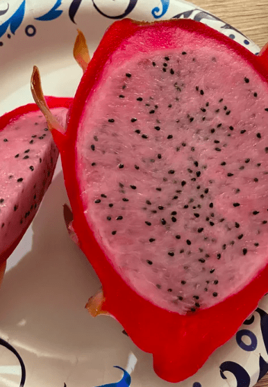 LaVerne's Pink Flesh Dragon Fruit