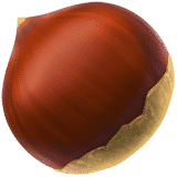 European Chestnut