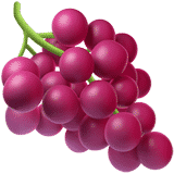 Dawn Seedless Grape
