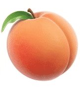 Flavor Giant Apricot