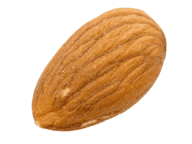 Bounty™ Almond (Prunus dulcis)